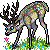 deer2